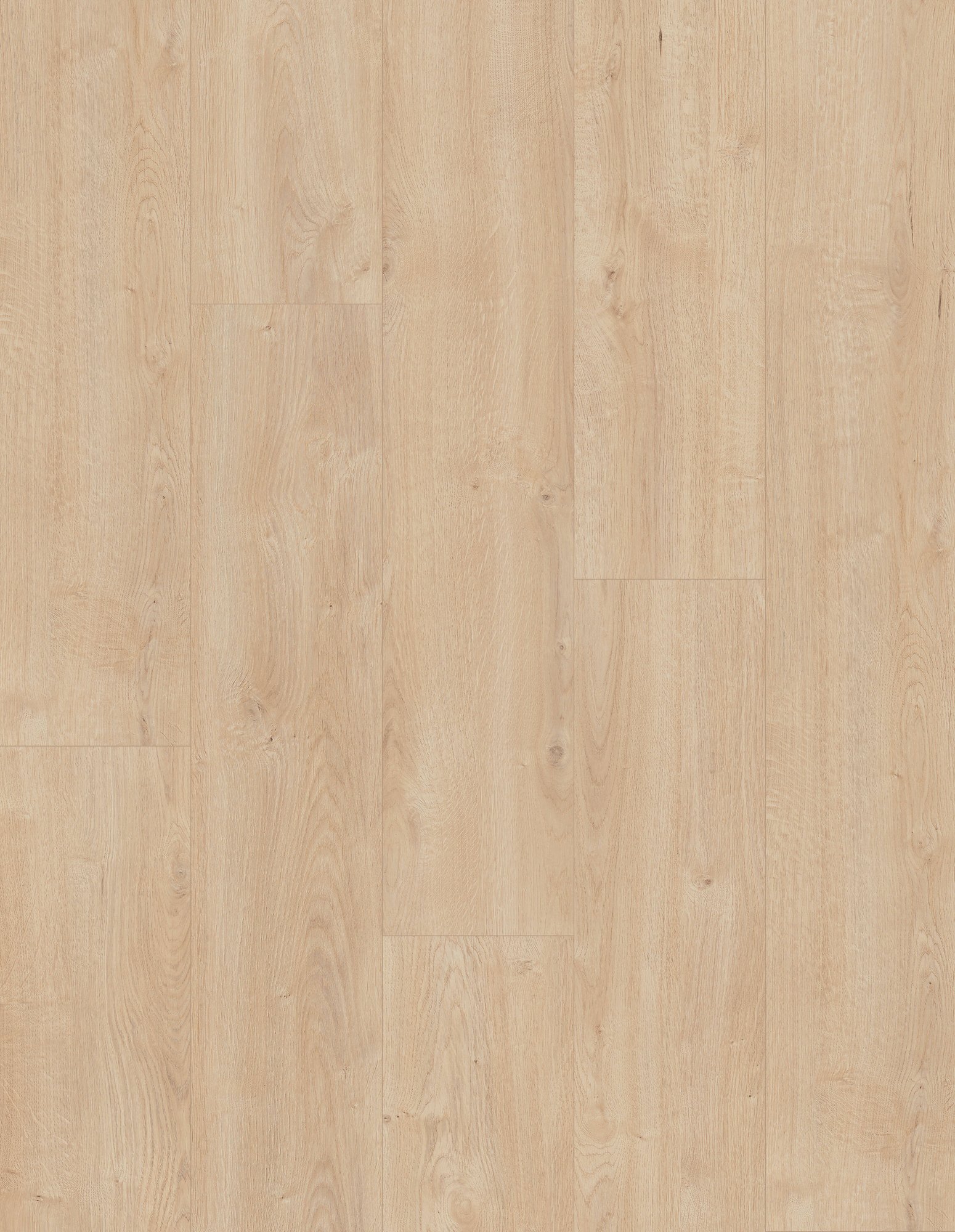 prime biscuit_lam_v4_1383x214_berryalloc_psh