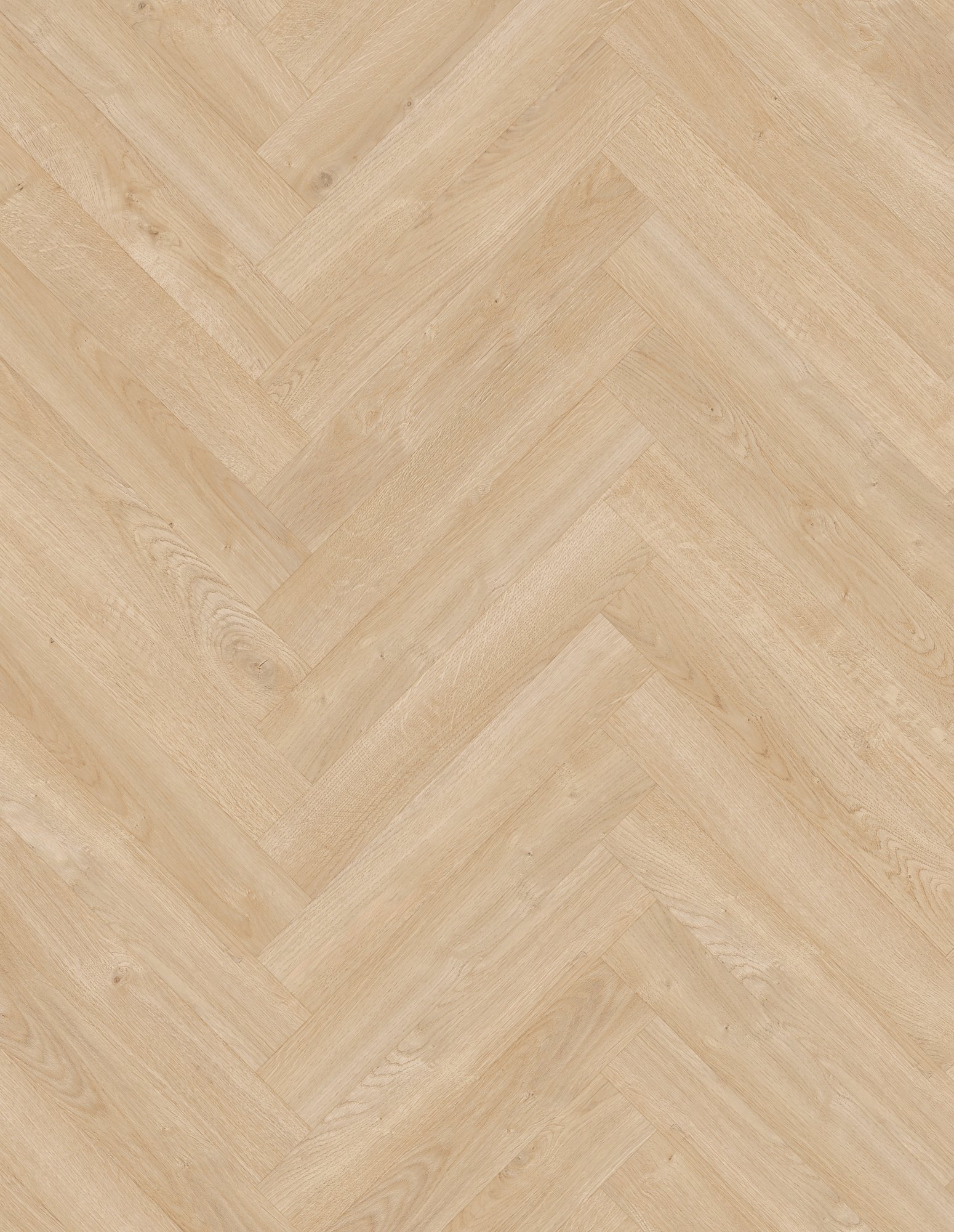 prime_biscuit_lam_v4_504x84_berryalloc_psh