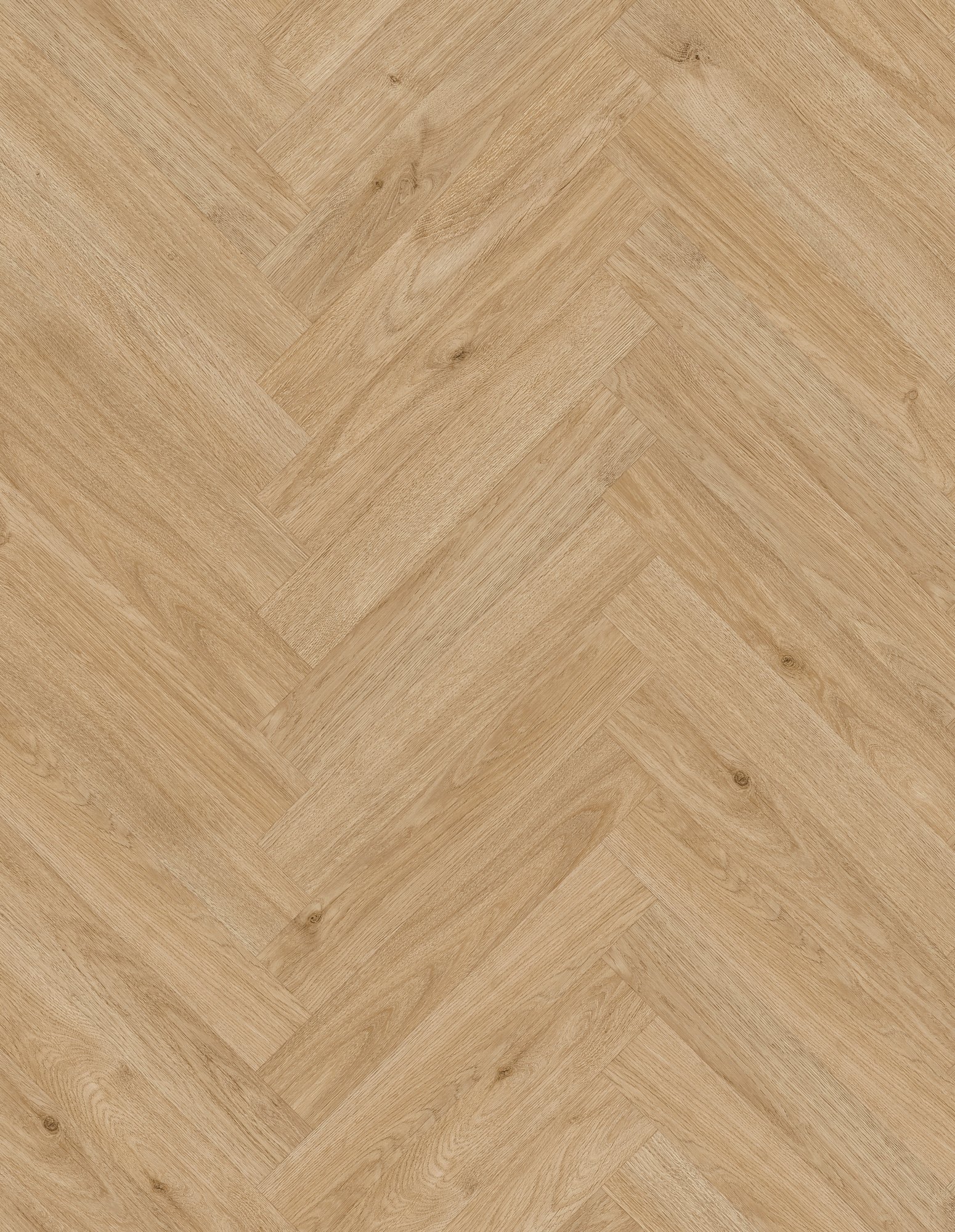 prime_honey_lam_v4_504x84_berryalloc_psh